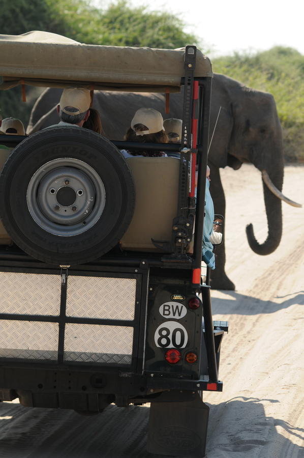 Ngoma Safari Lodge Kavimba Eksteriør bilde