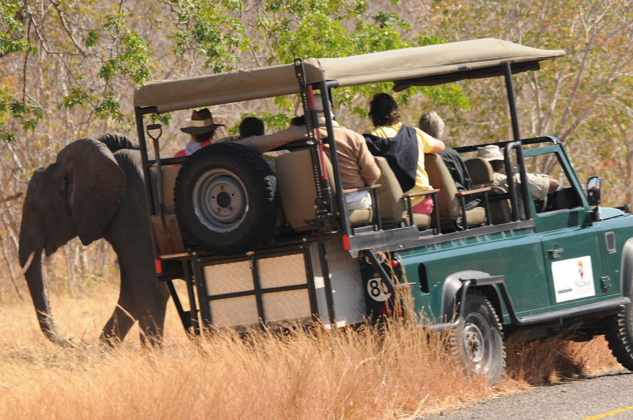 Ngoma Safari Lodge Kavimba Eksteriør bilde