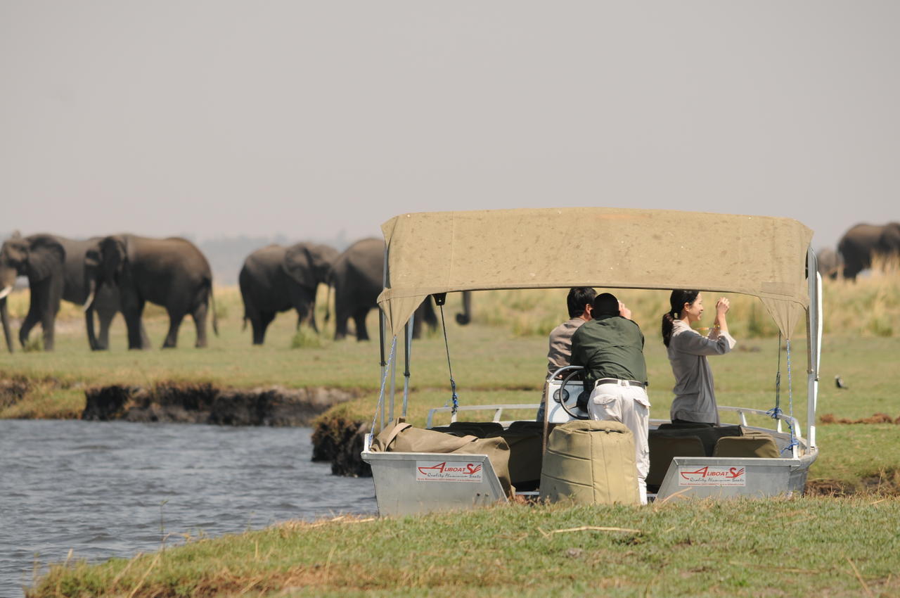 Ngoma Safari Lodge Kavimba Eksteriør bilde