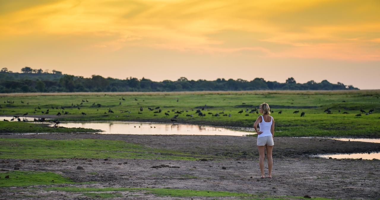 Ngoma Safari Lodge Kavimba Eksteriør bilde