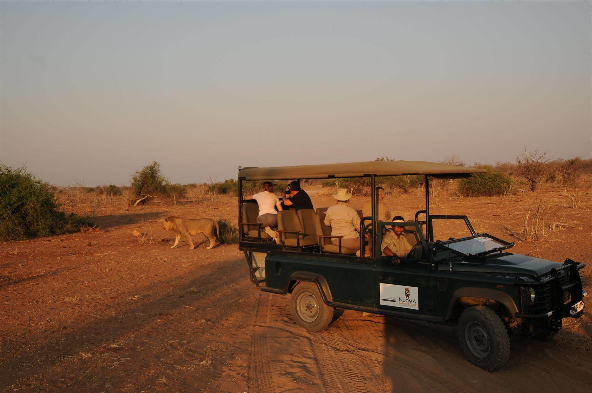 Ngoma Safari Lodge Kavimba Eksteriør bilde