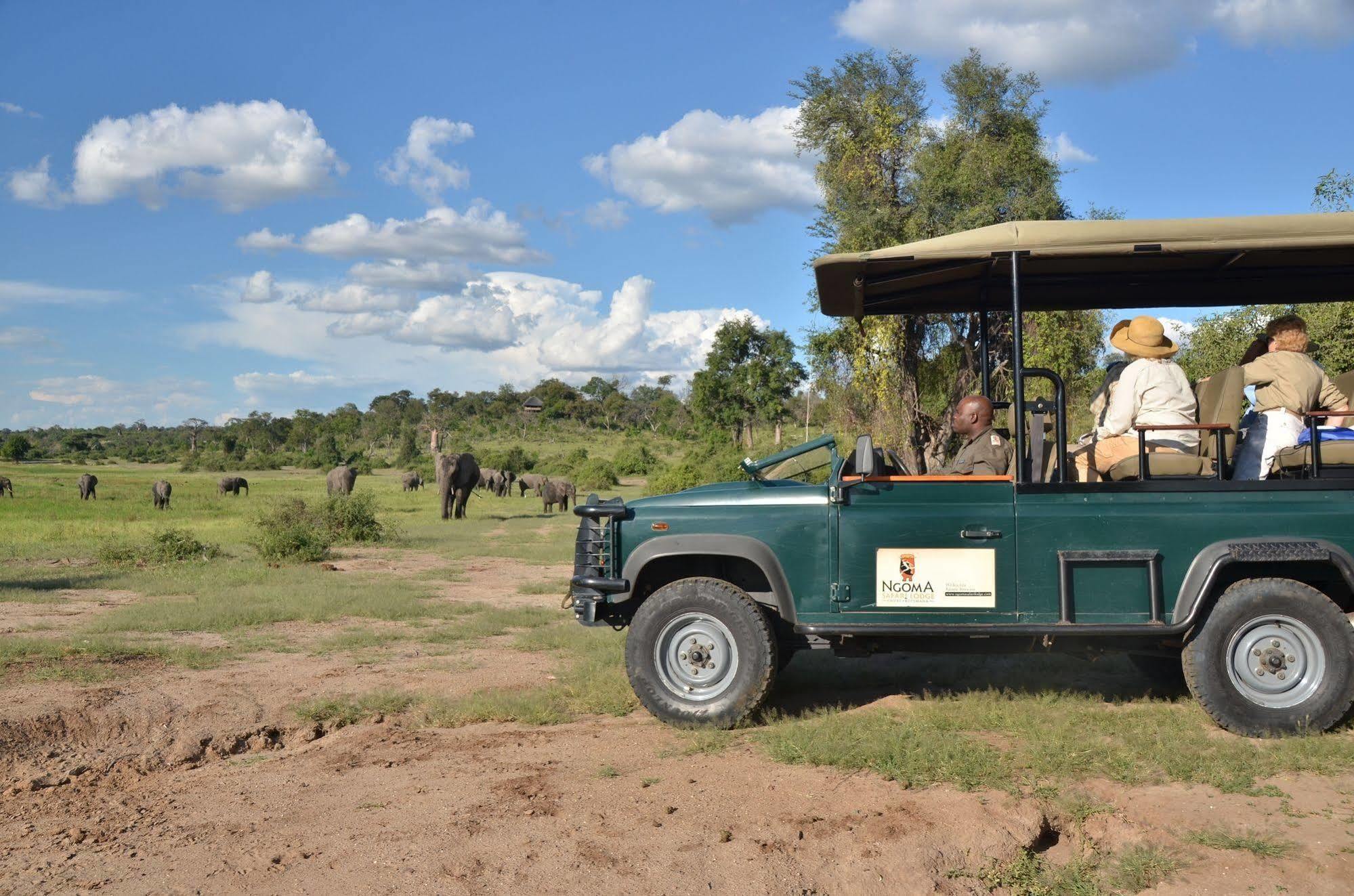Ngoma Safari Lodge Kavimba Eksteriør bilde
